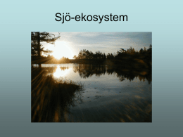Sjö-ekosystem