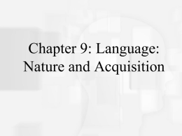 Cognitive Psychology, Fifth Edition, Robert J. Sternberg Chapter 9