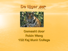De tijger - Kaj Munk College
