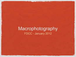 Macrophotography