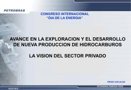 Vision_Sector_Privado_Petrobras