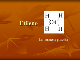 Biosíntesis de etileno - REGULADORES DE CRECIMIENTO