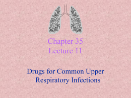PowerPoint Presentation - Lecture 11