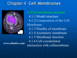 Cell Membranes: Chapt. 6
