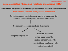 FV_Estres_oxidativo