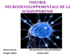 Les théories neurodéveloppementales de la schizophrenie