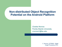 Non-distributed Object Recognition Potential on