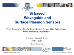 Si based waveguide and surface plasmon sensors