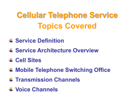 Cellular Telephone Service_Modified