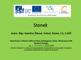 Prezentace B02 Stonek - Gymnázium a SOŠPg Čáslav