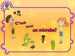 C`est quoi un microbe? (MS PowerPoint) - e-Bug