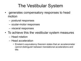 The Vestibular System