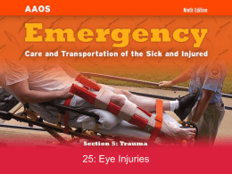 Chapter 25: Eye Injuries