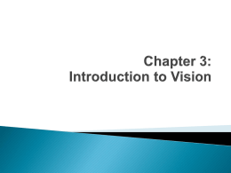 intro to vision