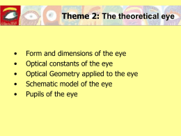 Schematic model of the eye