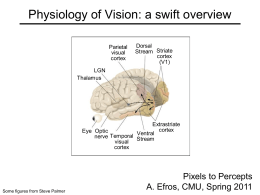 PPT