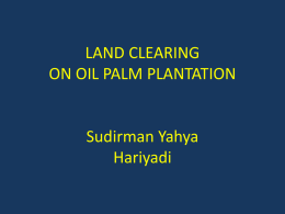 land clearing at peat soil