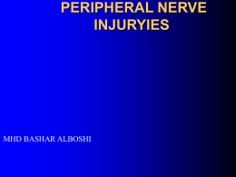 peripheral nerve injuryies mhd bashar alboshi