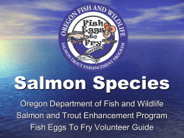 Salmonid Species - Oregon Department of Fish and Wildlife