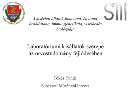 Allatkiserletek 2013_-Tokes_Laboratoriumi kisallatok jellemzoi