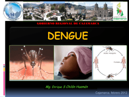 Aedes aegypti - Gobierno Regional de Cajamarca