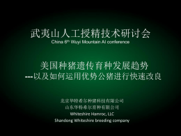 Slide 1 - 中国种猪信息网