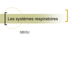 Les systèmes respiratoires