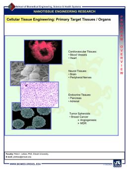 NANOTISSUE ENGINEERING RESEARCH In vitro: Tissue