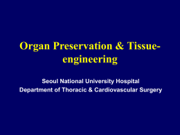 PowerPoint 프레젠테이션