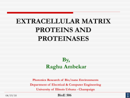 extracellular matrix proteins and proteinases