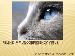 Feline Immunodeficiency Virus - Dr. Brahmbhatt`s Class Handouts