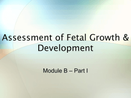 Assessment of Fetal Growth & Development - Macomb