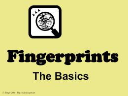 What are Fingerprints?