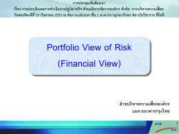 Portfolio View of Risk