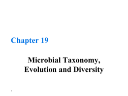 Chapter 19 - Microbiology and Molecular Genetics at Oklahoma
