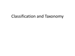 Classification and Taxonomy Notes Feb 16