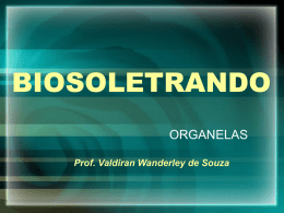 Organelas BioSoletrando