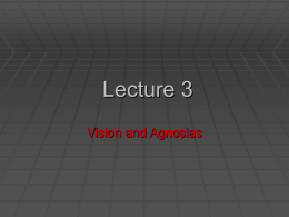 Lecture 4 - vision