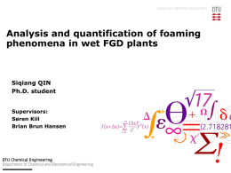 Analysis and quantification of foaming phenomena in wet FGD