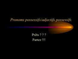 Pronoms possessifs/adjectifs possessifs