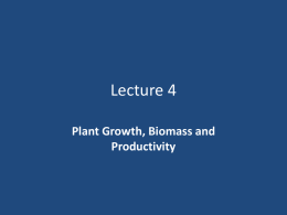 Plant Growth, Biomass and Productivity