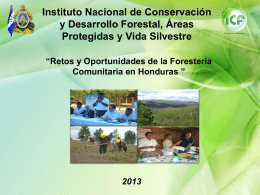 Los retos y oportunidades de la Forestería Comunitaria en