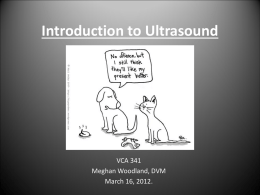 Introduction to Ultrasound