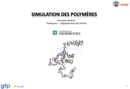 Simulation Polymères