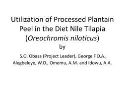 Utilization of Processed Plantain Peel in the Diet Nile Tilapia