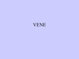 VENE - OvidiusMD
