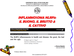 Inflammosoma NLRP3