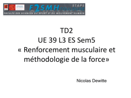 TD méthodologie force 2