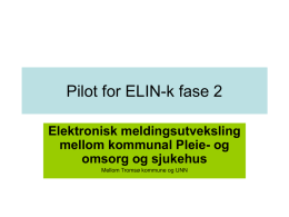 Pilot for Elin