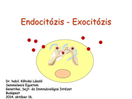 Endocitózis - Semmelweis Egyetem Genetikai, Sejt